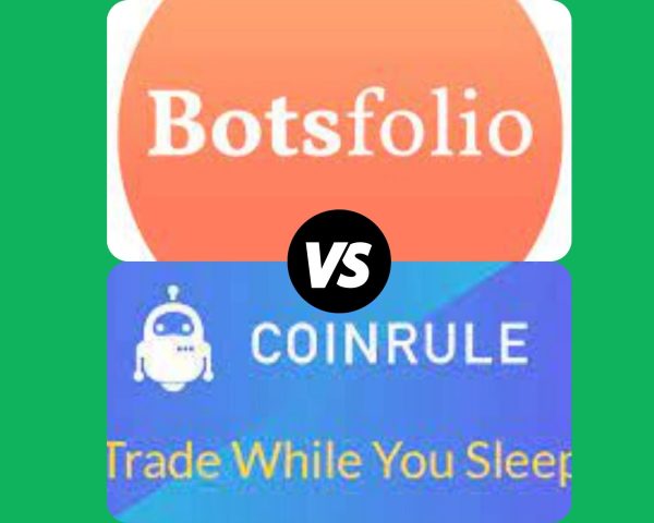 Botsfolio Review