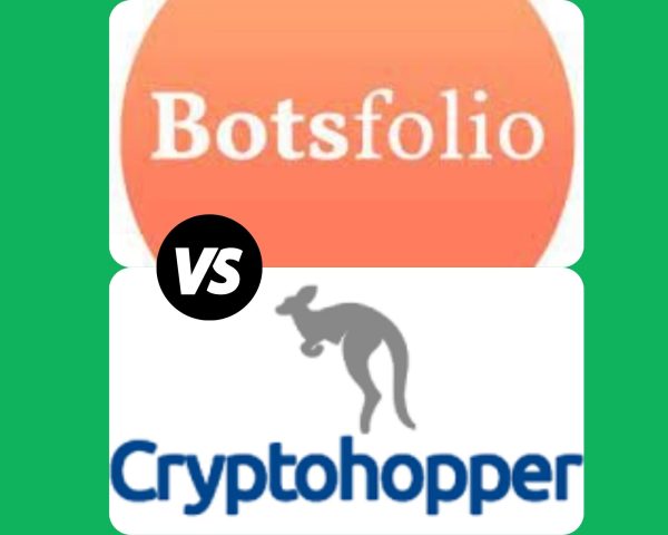 Botsfolio Review