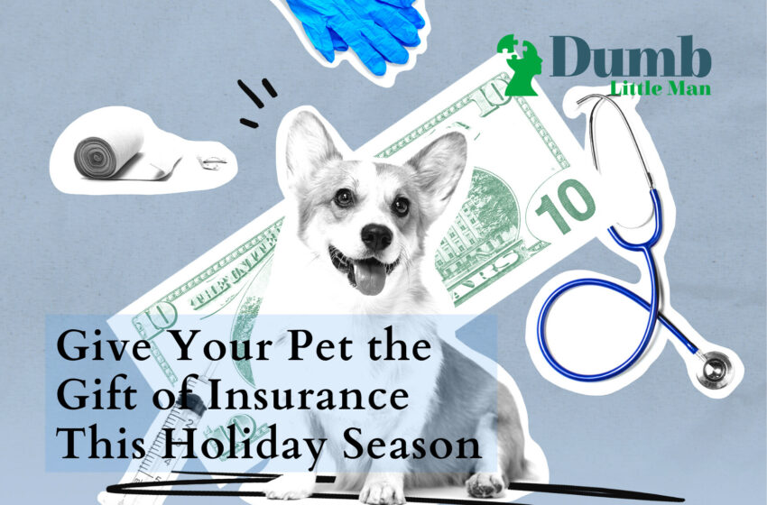  Give Your Pet the Gift of Insurance This Holiday Season