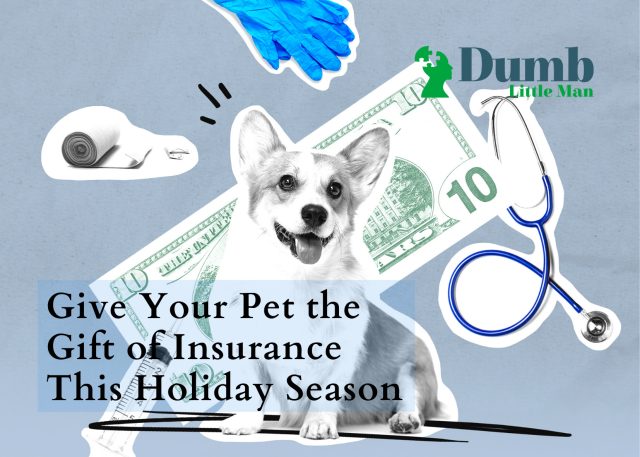 Give Your Pet the Gift of Insurance This Holiday Season