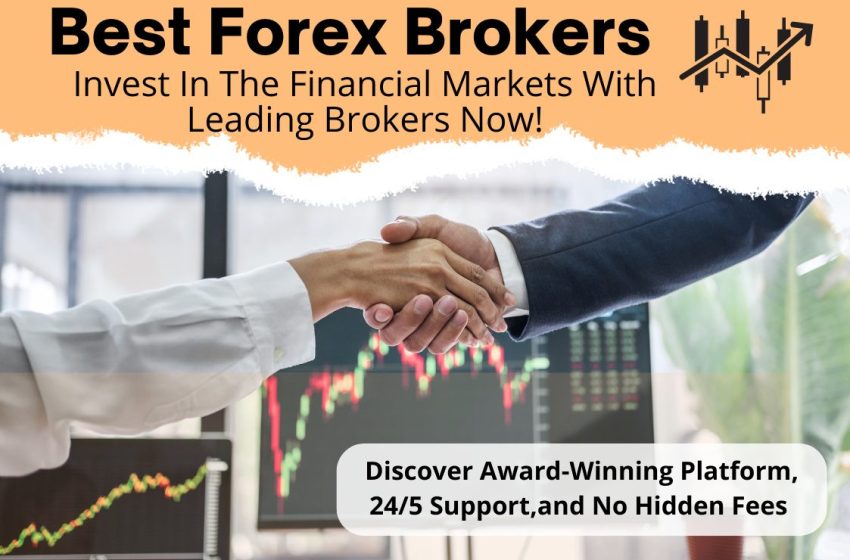  7 Best Forex Brokers in 2022 • Indepth Review