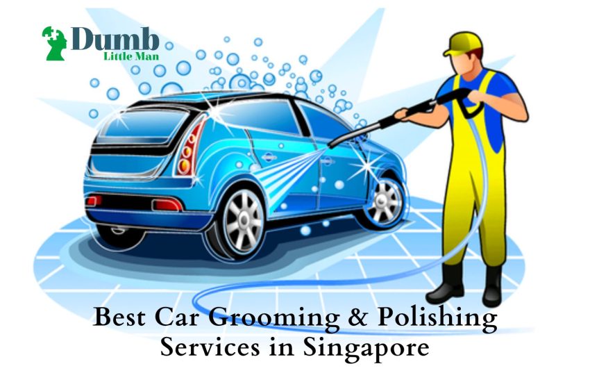  5 Best Car Grooming & Polishing Services in Singapore 2023