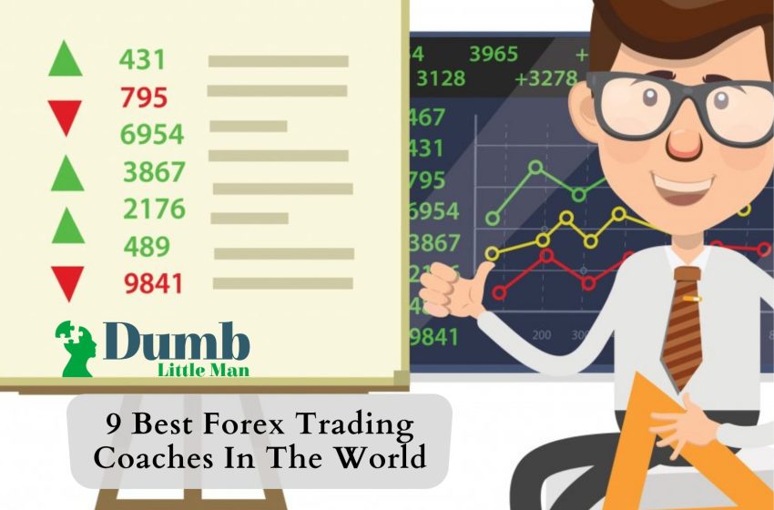 9 Best Forex Trading Coaches In The World 2022 • Dumb Little Man