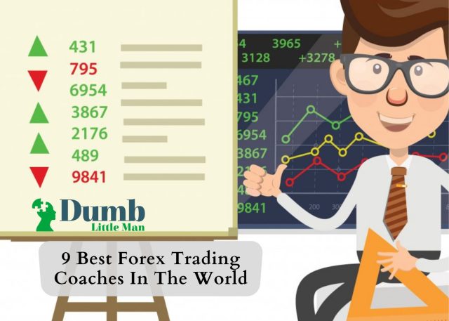 9 Best Forex Trading Coaches In The World 2022 • Dumb Little Man