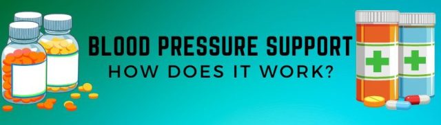 blood pressure support review