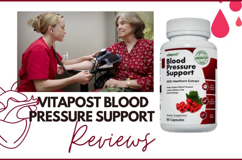  Blood Pressure Support Reviews: Does it Work?