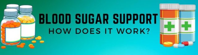 blood sugar support review