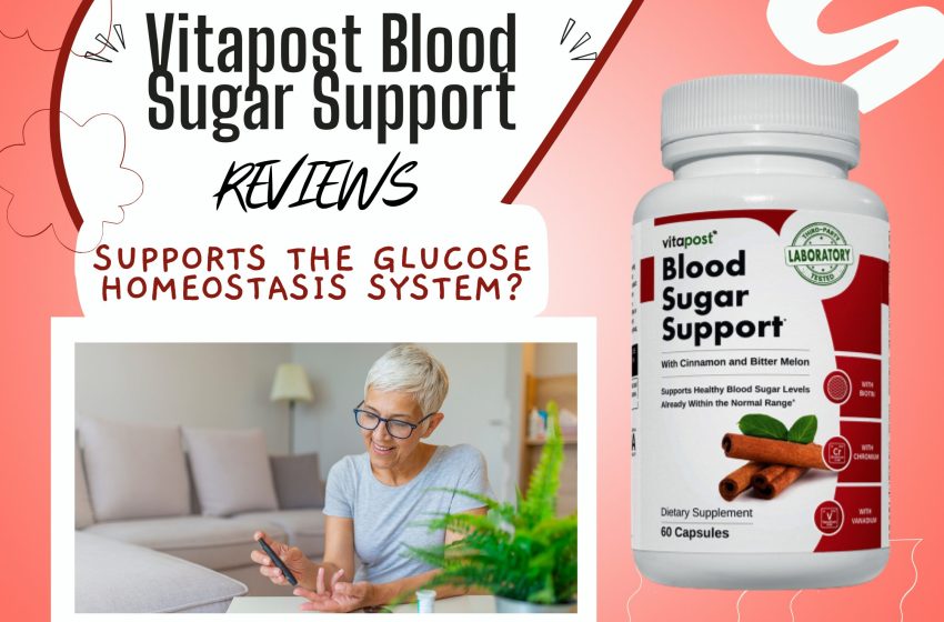  Blood Sugar Support Reviews: Does it Really Work?