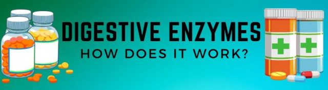 digestive enzymes review