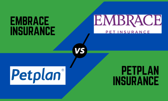 embrace insurance review