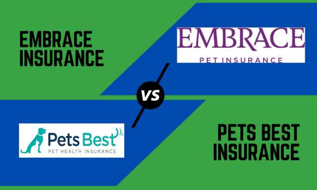 embrace insurance review