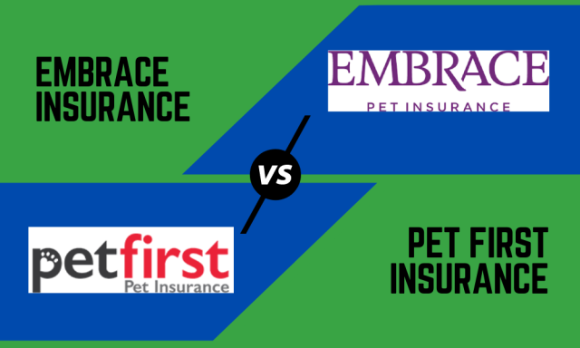 embrace insurance review