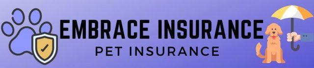 embrace insurance review