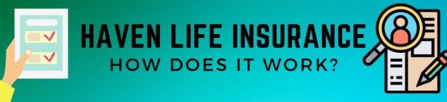 haven life insurance review