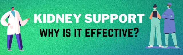 kidney support reviews