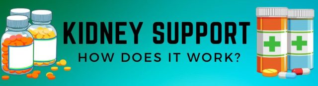 kidney support reviews