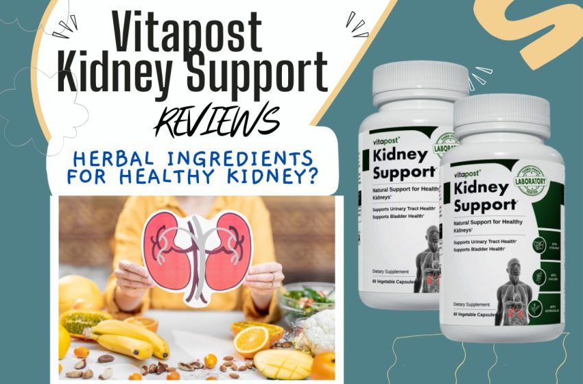Vitapost Kidney Support Review: Does it Really Work?
