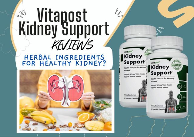 kidney support reviews