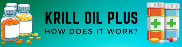 krill oil plus review