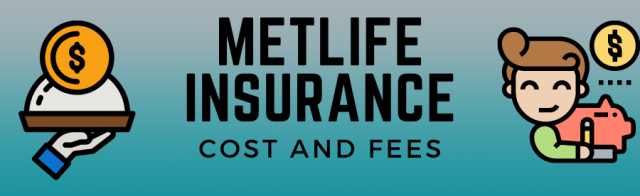 metlife insurance review