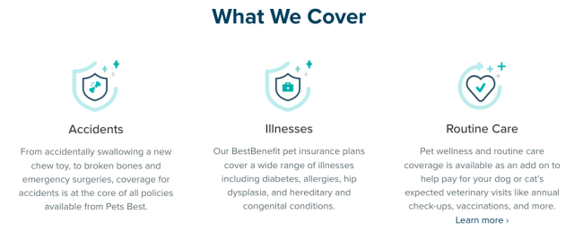 pets best insurance review