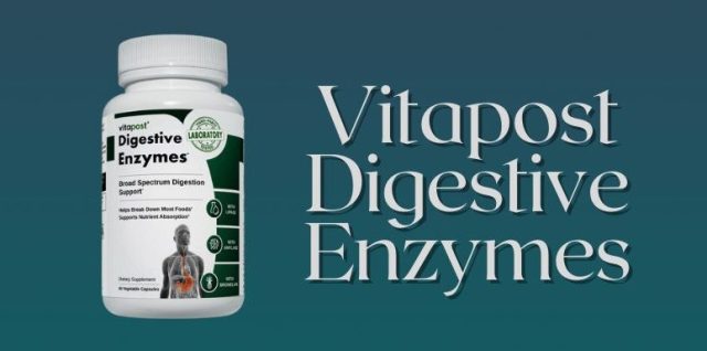 digestive enzymes review