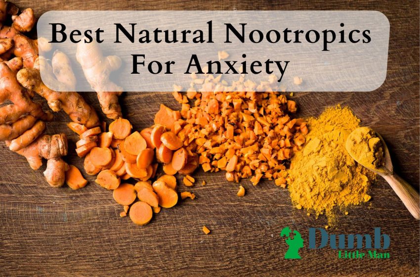  Best Natural Nootropics For Anxiety