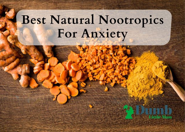 Best Natural Nootropics For Anxiety