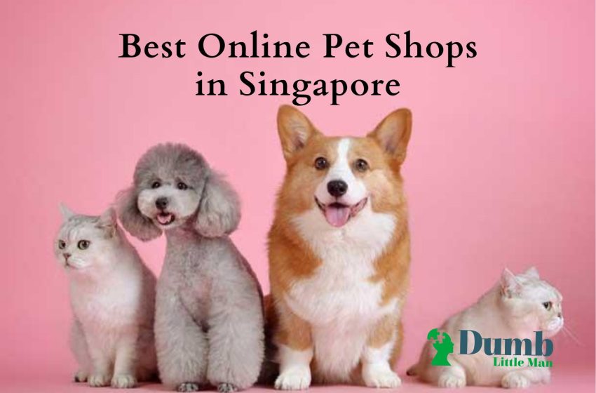 5 Best Online Pet Shops in Singapore 2023
