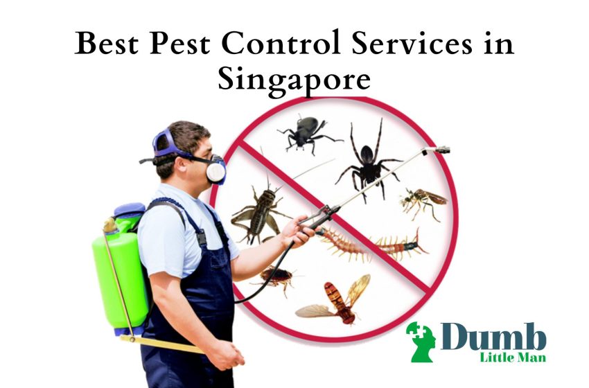  5 Best Pest Control Services in Singapore 2022