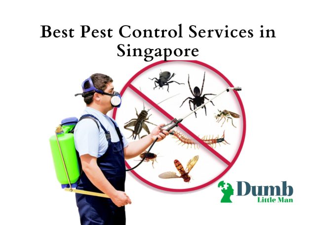 Best Pest Control Services in Singapore