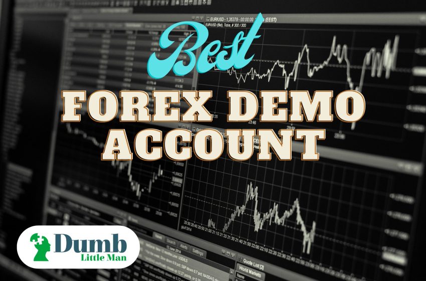  Best Forex Demo Accounts in 2022