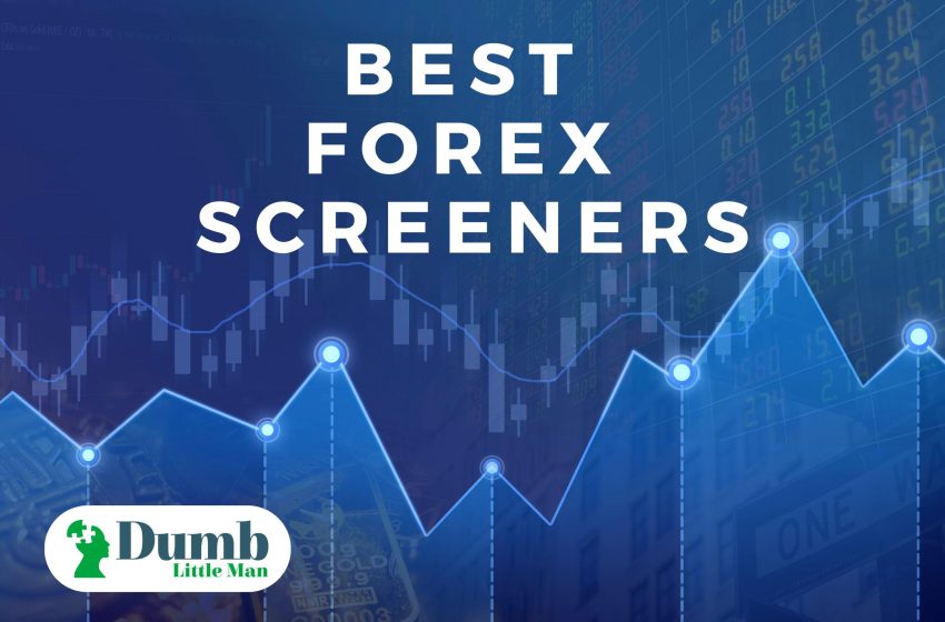  Best Forex Screeners in 2023 – In Depth Review