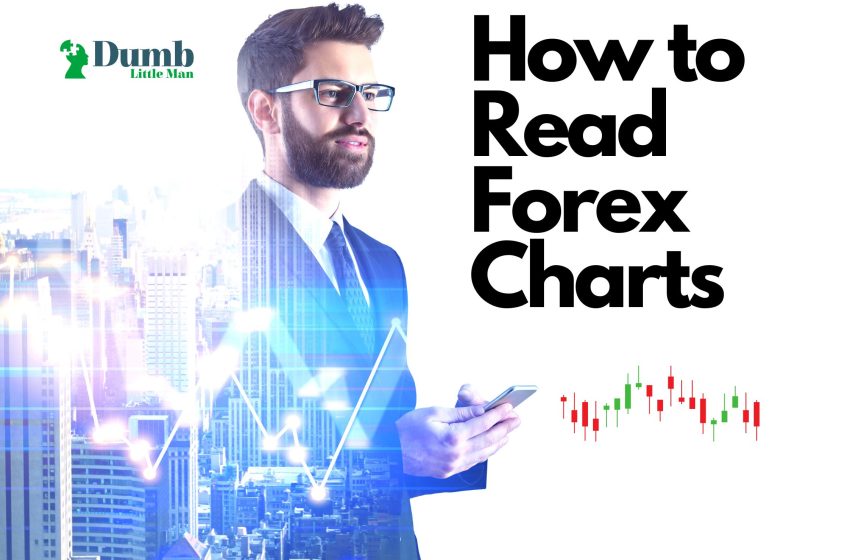  How to Read Forex Charts – A 2023 Beginners Guide