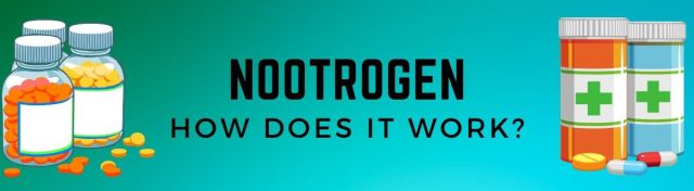 nootrogen reviews