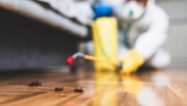 What is Pest Control?