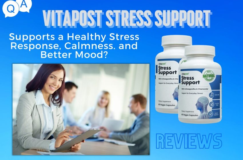  VitaPost Stress Support Reviews 2023: Does it Really Work?