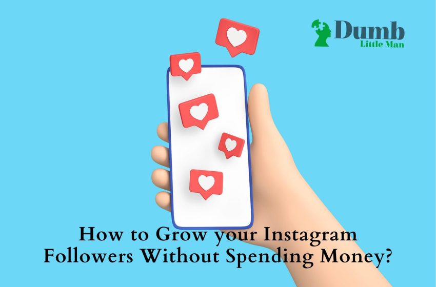  How to Grow your Instagram Followers Without Spending Money?