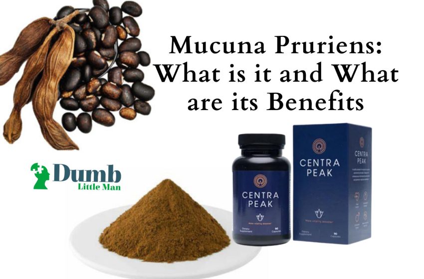  Mucuna Pruriens: What is it and What are its Benefits