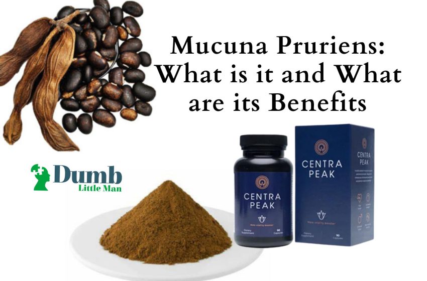 Mucuna Pruriens: What is it and What are its Benefits