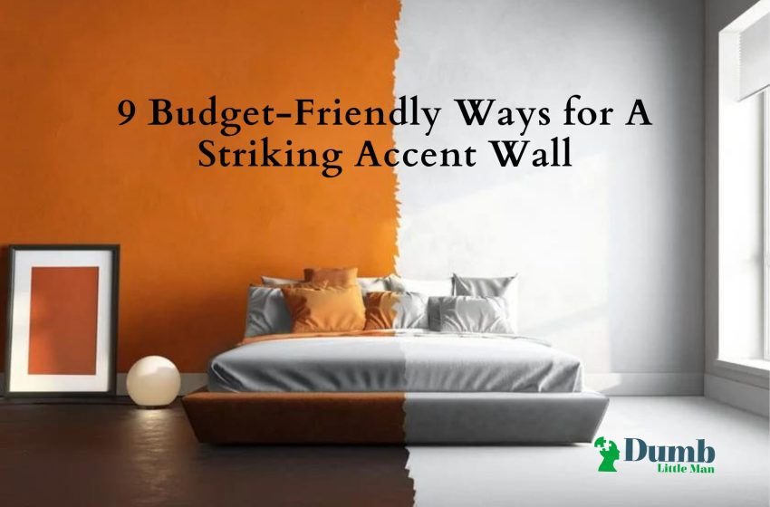  9 Budget-Friendly Ways for A Striking Accent Wall