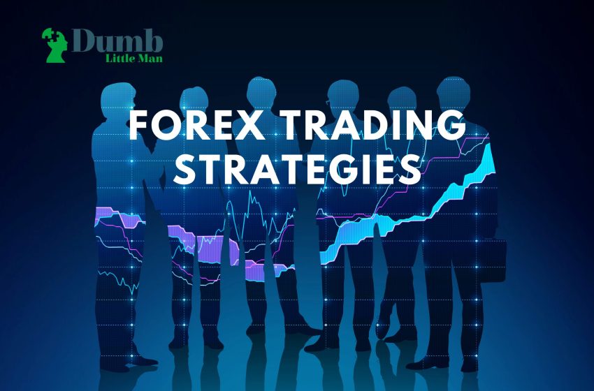  Forex Trading Strategies – A Trader Beginners Guide