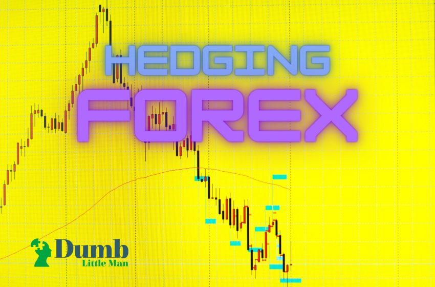  Hedging Forex: Should You Hedge Forex?