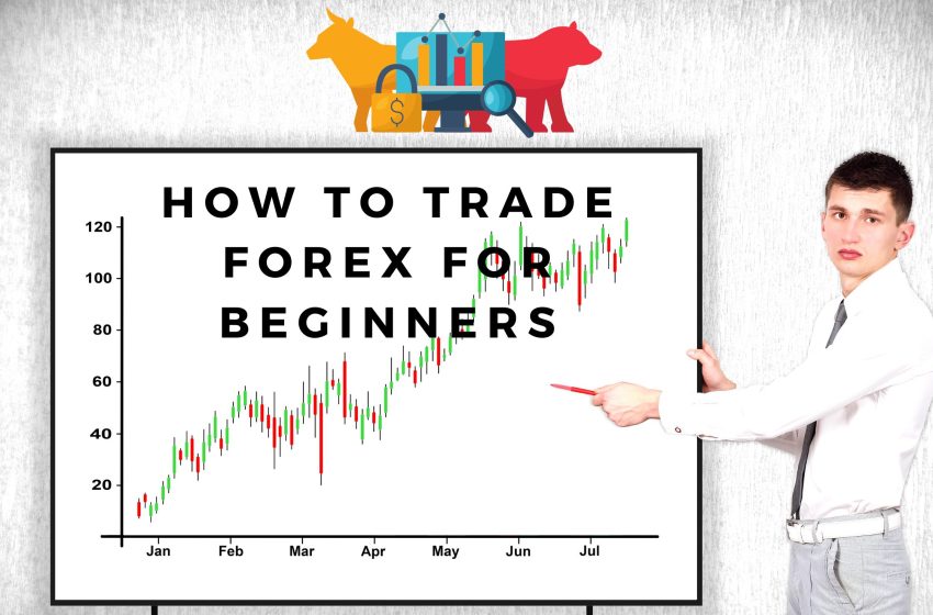  How To Trade Forex For Beginners – An Important Know How For Traders