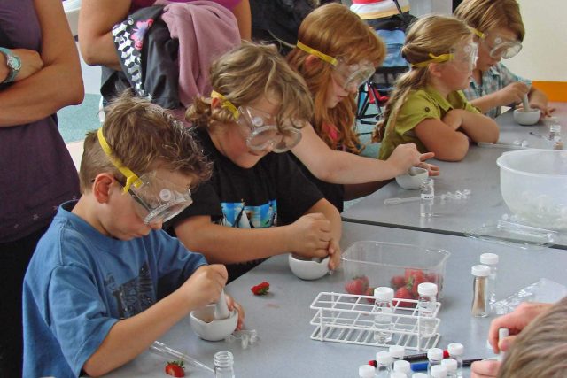 Why Does Your Kid Need A Science Enrichment Programme?