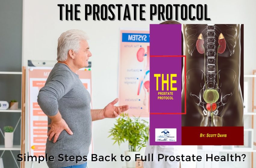  The Prostate Protocol Reviews 2023: Does it Really Work?