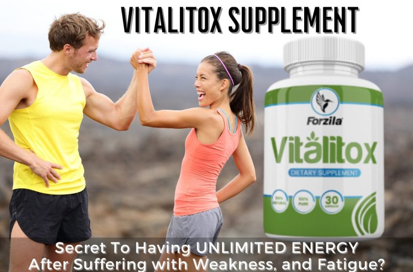  Vitalitox Reviews 2022: Does it Really Work?