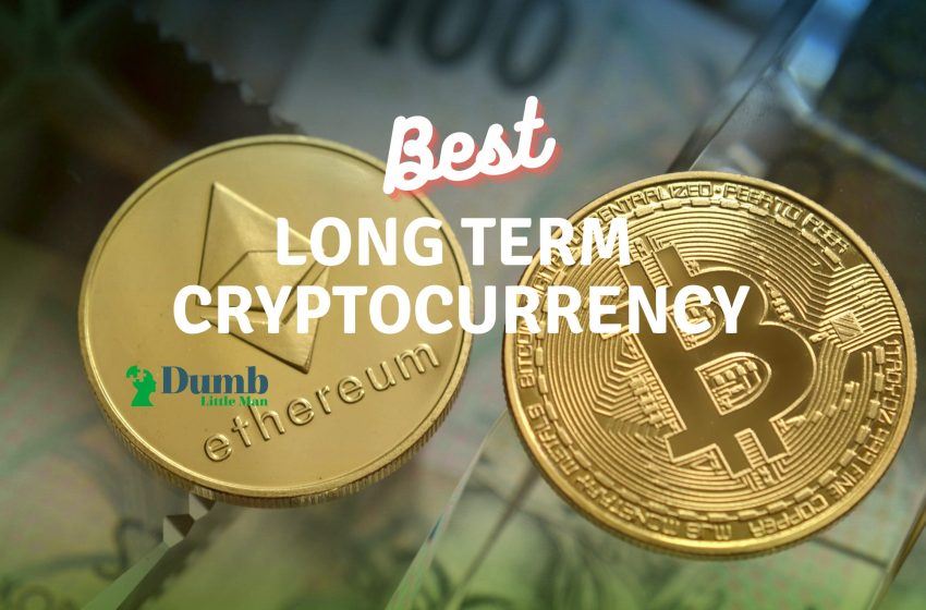  Best Long Term Cryptocurrency Investment in 2022