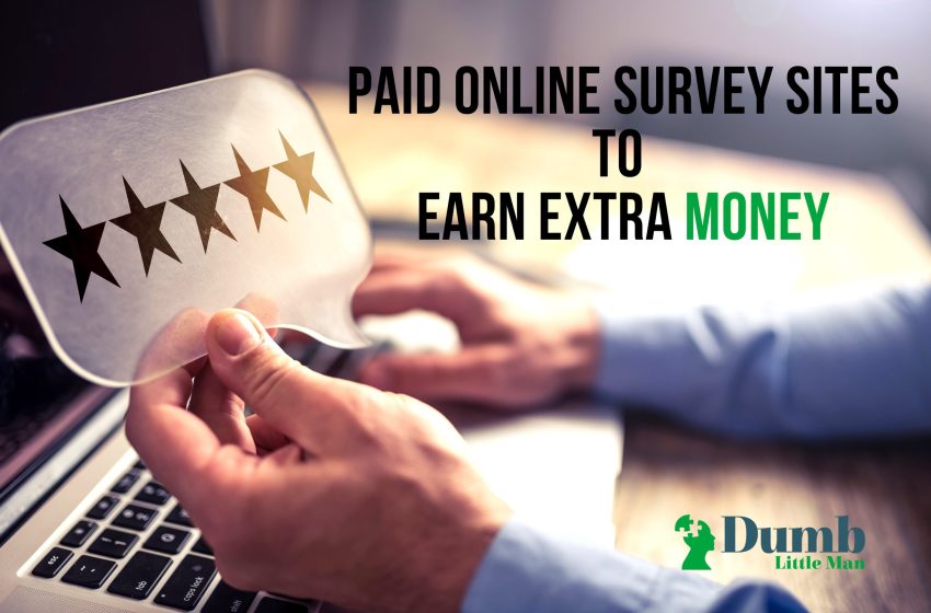  11 Paid Online Survey Sites To Earn Extra Money