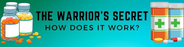 The Warrior's Secret reviews